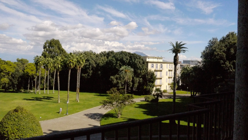 Museo e  Real Bosco di Capodimonte Art Camino 1110690