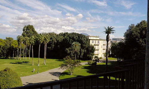 Museo e  Real Bosco di Capodimonte Art Camino 1110690