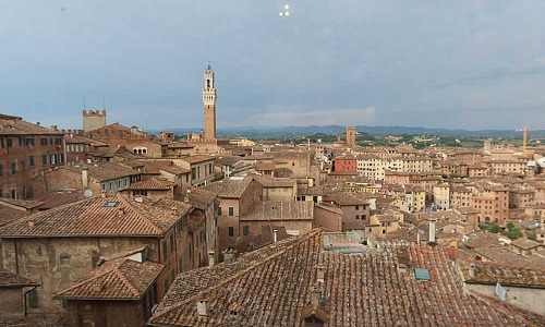 Siena Pinacoteca Nazionale SY 917