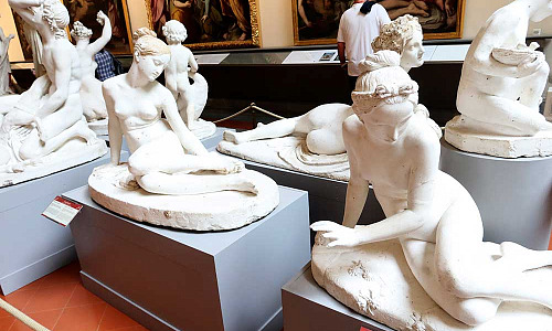 Acadamia Florence SY 985